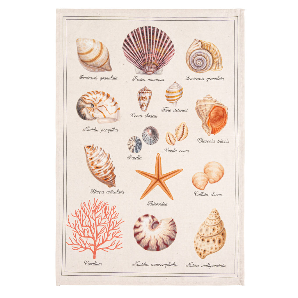Seashell sales kitchen towels